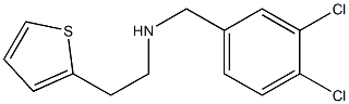 [(3,4-dichlorophenyl)methyl][2-(thiophen-2-yl)ethyl]amine 구조식 이미지