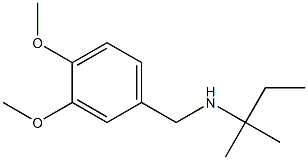 [(3,4-dimethoxyphenyl)methyl](2-methylbutan-2-yl)amine 구조식 이미지
