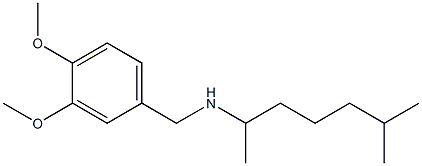 [(3,4-dimethoxyphenyl)methyl](6-methylheptan-2-yl)amine Structure