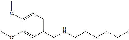 [(3,4-dimethoxyphenyl)methyl](hexyl)amine 구조식 이미지