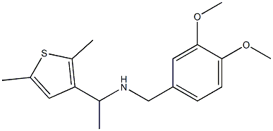 [(3,4-dimethoxyphenyl)methyl][1-(2,5-dimethylthiophen-3-yl)ethyl]amine 구조식 이미지