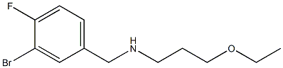 [(3-bromo-4-fluorophenyl)methyl](3-ethoxypropyl)amine 구조식 이미지