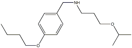 [(4-butoxyphenyl)methyl][3-(propan-2-yloxy)propyl]amine Structure