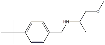 [(4-tert-butylphenyl)methyl](1-methoxypropan-2-yl)amine Structure