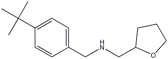 [(4-tert-butylphenyl)methyl](oxolan-2-ylmethyl)amine 구조식 이미지