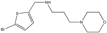 [(5-bromothiophen-2-yl)methyl][3-(morpholin-4-yl)propyl]amine Structure