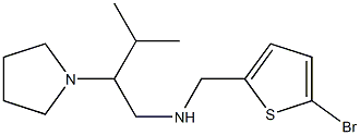 [(5-bromothiophen-2-yl)methyl][3-methyl-2-(pyrrolidin-1-yl)butyl]amine 구조식 이미지