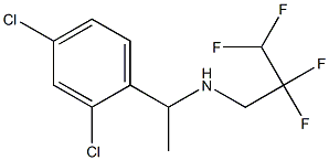 [1-(2,4-dichlorophenyl)ethyl](2,2,3,3-tetrafluoropropyl)amine Structure