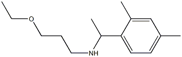 [1-(2,4-dimethylphenyl)ethyl](3-ethoxypropyl)amine Structure