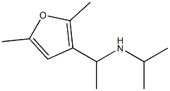 [1-(2,5-dimethylfuran-3-yl)ethyl](propan-2-yl)amine Structure