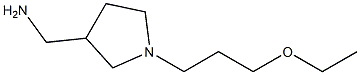 [1-(3-ethoxypropyl)pyrrolidin-3-yl]methylamine Structure