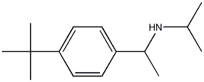 [1-(4-tert-butylphenyl)ethyl](propan-2-yl)amine 구조식 이미지