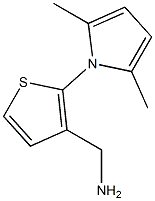 [2-(2,5-dimethyl-1H-pyrrol-1-yl)thien-3-yl]methylamine Structure