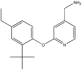 [2-(2-tert-butyl-4-ethylphenoxy)pyridin-4-yl]methanamine Structure