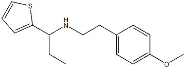 [2-(4-methoxyphenyl)ethyl][1-(thiophen-2-yl)propyl]amine Structure