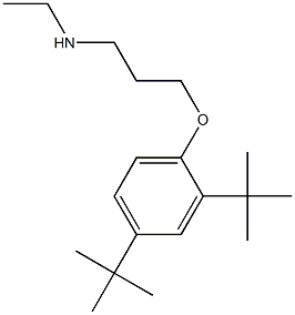 [3-(2,4-di-tert-butylphenoxy)propyl](ethyl)amine Structure