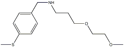 [3-(2-methoxyethoxy)propyl]({[4-(methylsulfanyl)phenyl]methyl})amine 구조식 이미지