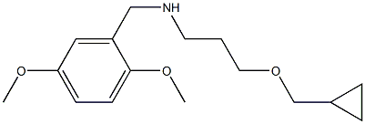 [3-(cyclopropylmethoxy)propyl][(2,5-dimethoxyphenyl)methyl]amine Structure