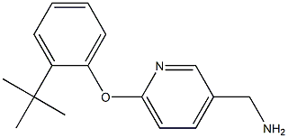 [6-(2-tert-butylphenoxy)pyridin-3-yl]methylamine Structure