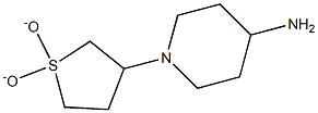 1-(1,1-dioxidotetrahydrothien-3-yl)piperidin-4-amine 구조식 이미지