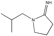 1-(2-methylpropyl)pyrrolidin-2-imine 구조식 이미지