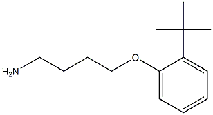 1-(4-aminobutoxy)-2-tert-butylbenzene Structure