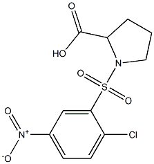 1-[(2-chloro-5-nitrobenzene)sulfonyl]pyrrolidine-2-carboxylic acid Structure