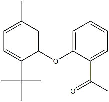 1-[2-(2-tert-butyl-5-methylphenoxy)phenyl]ethan-1-one Structure