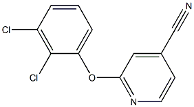 2-(2,3-dichlorophenoxy)isonicotinonitrile Structure