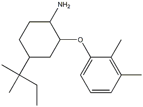2-(2,3-dimethylphenoxy)-4-(2-methylbutan-2-yl)cyclohexan-1-amine 구조식 이미지