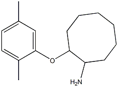 2-(2,5-dimethylphenoxy)cyclooctan-1-amine 구조식 이미지