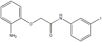 2-(2-aminophenoxy)-N-(3-iodophenyl)acetamide 구조식 이미지