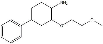 2-(2-methoxyethoxy)-4-phenylcyclohexan-1-amine Structure