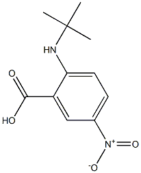 2-(tert-butylamino)-5-nitrobenzoic acid 구조식 이미지