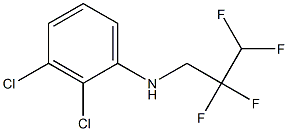 2,3-dichloro-N-(2,2,3,3-tetrafluoropropyl)aniline 구조식 이미지