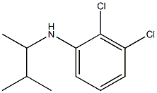 2,3-dichloro-N-(3-methylbutan-2-yl)aniline Structure