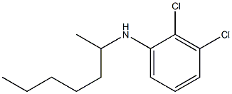 2,3-dichloro-N-(heptan-2-yl)aniline 구조식 이미지