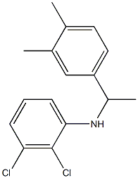 2,3-dichloro-N-[1-(3,4-dimethylphenyl)ethyl]aniline 구조식 이미지