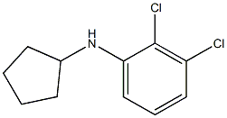 2,3-dichloro-N-cyclopentylaniline 구조식 이미지