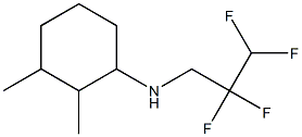 2,3-dimethyl-N-(2,2,3,3-tetrafluoropropyl)cyclohexan-1-amine Structure