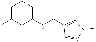 2,3-dimethyl-N-[(1-methyl-1H-pyrazol-4-yl)methyl]cyclohexan-1-amine Structure