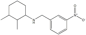 2,3-dimethyl-N-[(3-nitrophenyl)methyl]cyclohexan-1-amine 구조식 이미지