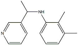 2,3-dimethyl-N-[1-(pyridin-3-yl)ethyl]aniline Structure
