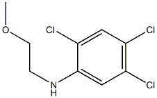 2,4,5-trichloro-N-(2-methoxyethyl)aniline Structure
