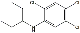 2,4,5-trichloro-N-(pentan-3-yl)aniline Structure