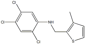 2,4,5-trichloro-N-[(3-methylthiophen-2-yl)methyl]aniline Structure