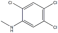 2,4,5-trichloro-N-methylaniline Structure
