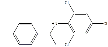 2,4,6-trichloro-N-[1-(4-methylphenyl)ethyl]aniline 구조식 이미지