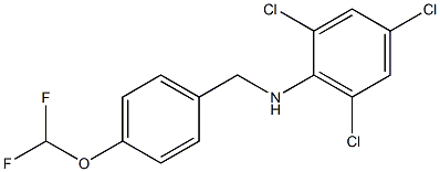 2,4,6-trichloro-N-{[4-(difluoromethoxy)phenyl]methyl}aniline 구조식 이미지