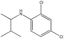 2,4-dichloro-N-(3-methylbutan-2-yl)aniline Structure